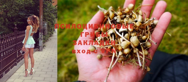 экстази Ростов