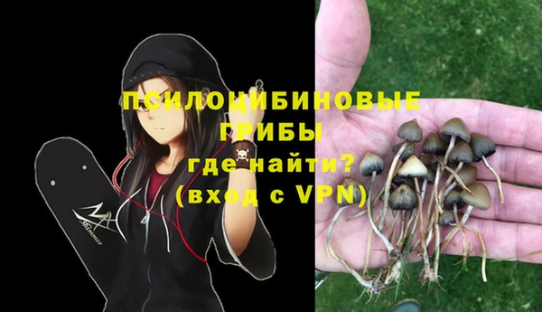 спайс Алексин