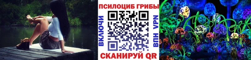 как найти   Игарка  Псилоцибиновые грибы мицелий 