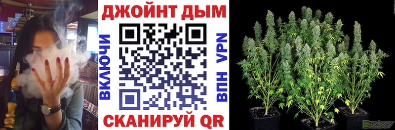Конопля планчик Игарка